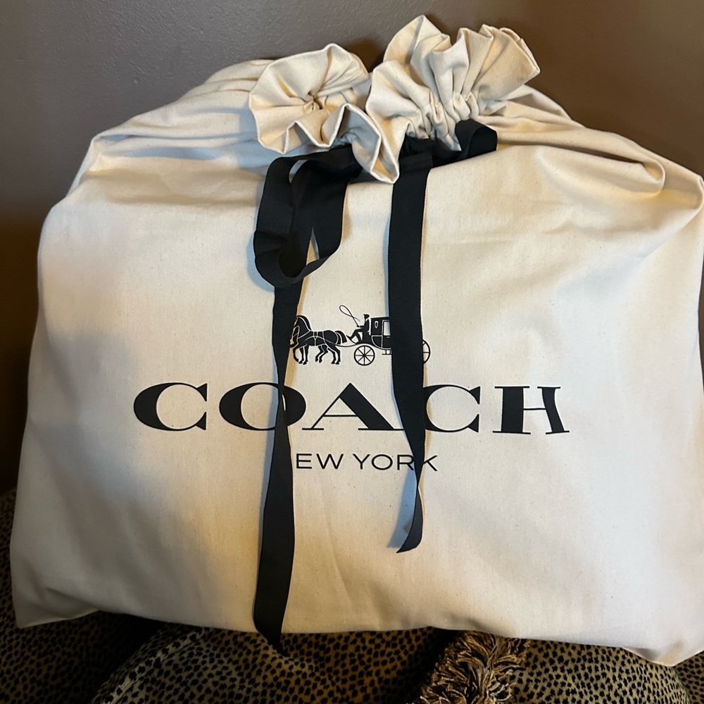 COACH ❤️ Kristin Embossed Python Leather Round Satchel Sage Shoulder Bag~NWT - Picture 11 of 11
